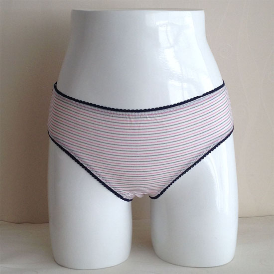 Ladies briefs