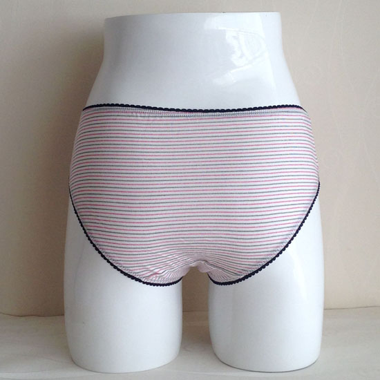 Ladies briefs