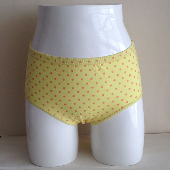 Ladies briefs