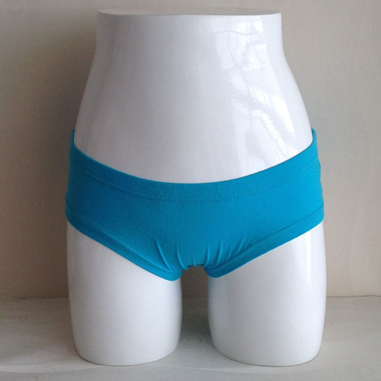 Ladies briefs