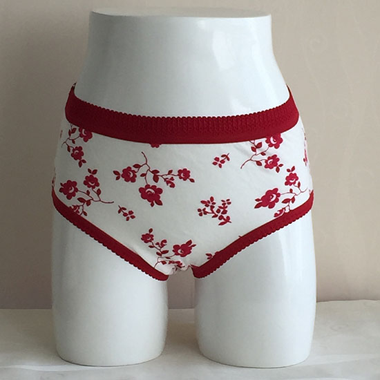 Ladies briefs