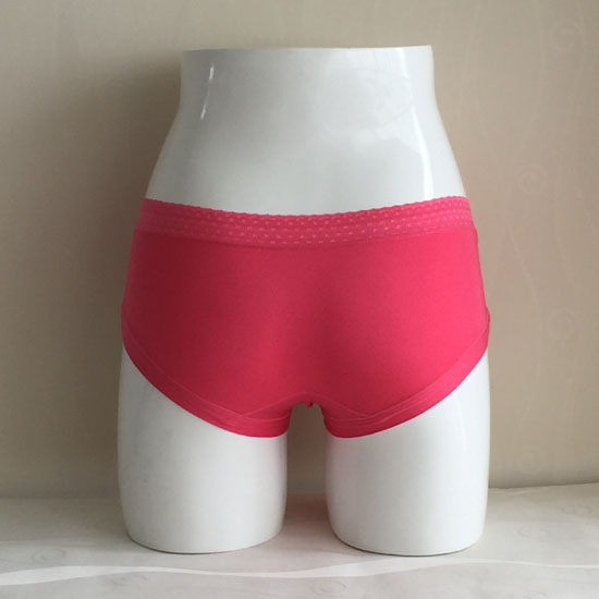 Ladies briefs